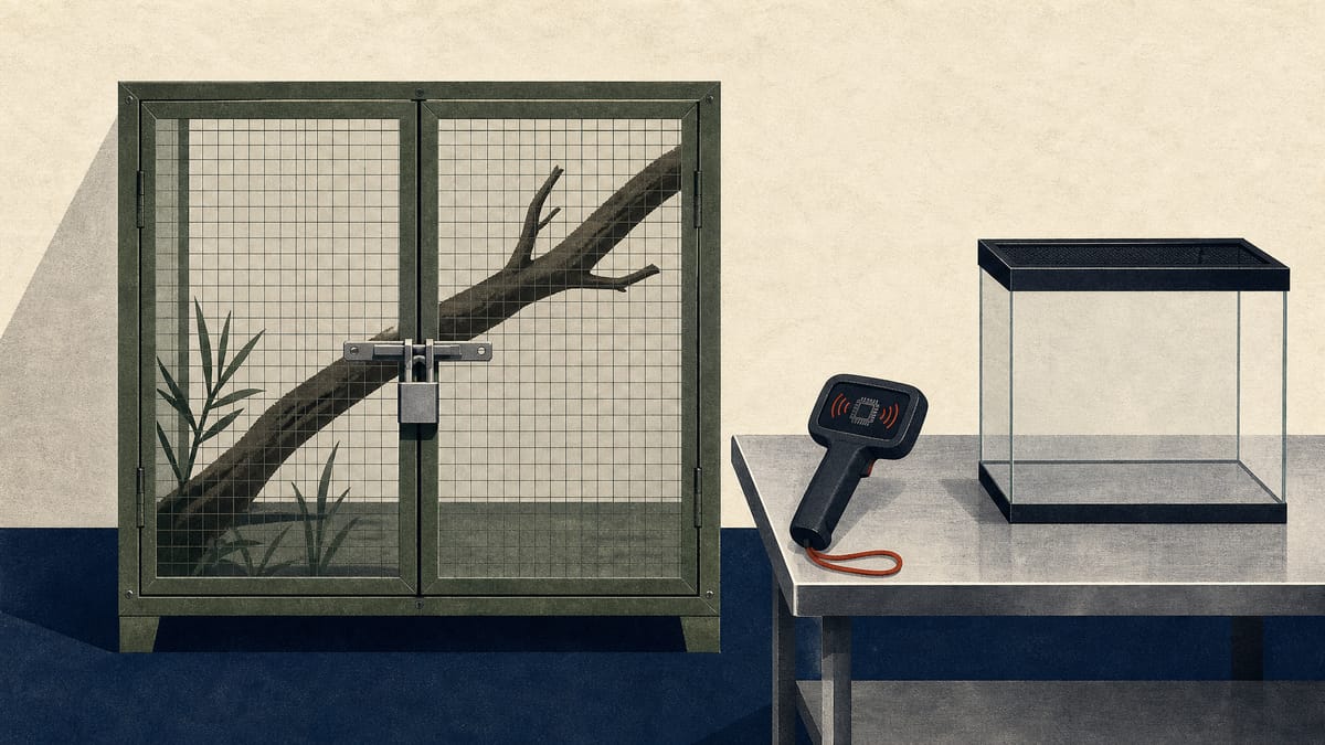 A secure double-door mesh enclosure with an empty branch, next to a microchip scanner and an empty tank on a veterinary table.