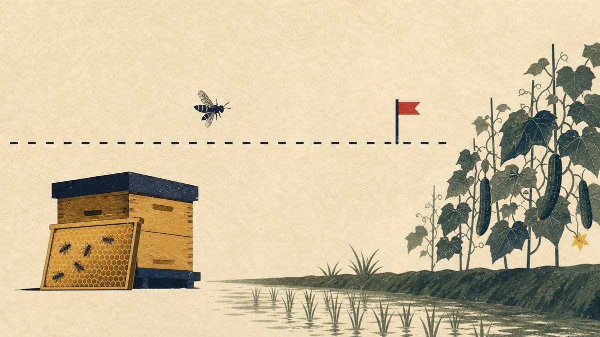 Editorial illustration of a honeybee hive beside rice and cucumber crops, with a threshold line suggesting a mortality limit.