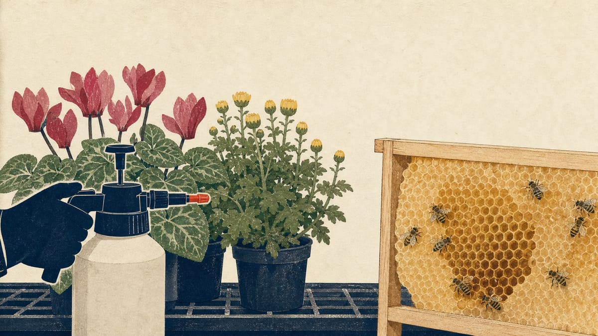 Potted cyclamen and chrysanthemum plants on a greenhouse bench beside a sprayer nozzle and a honeybee hive frame.
